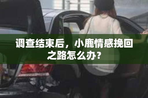 调查结束后，小鹿情感挽回之路怎么办？