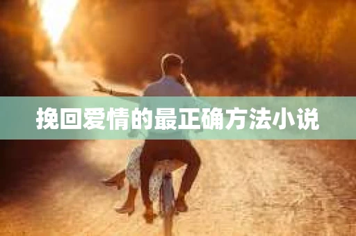 挽回爱情的最正确方法小说