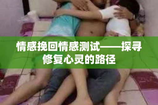 情感挽回情感测试——探寻修复心灵的路径
