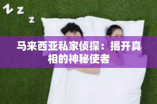 马来西亚私家侦探：揭开真相的神秘使者