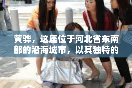 黄骅，这座位于河北省东南部的沿海城市，以其独特的地理位置和丰富的历史文化而闻名。然而，在这座城市中，还有一群人，他们以另一种方式默默守护着社会的公平与正义——私家侦探。今天，我们就来聊聊黄骅的私家侦探，看看他们是如何在这个城市中发挥作用的。