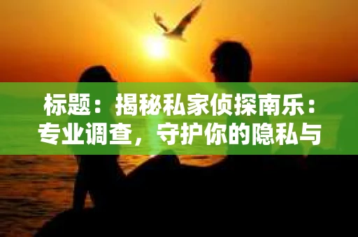 标题：揭秘私家侦探南乐：专业调查，守护你的隐私与权益