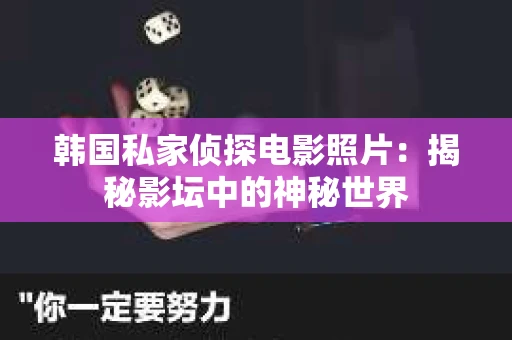 韩国私家侦探电影照片：揭秘影坛中的神秘世界