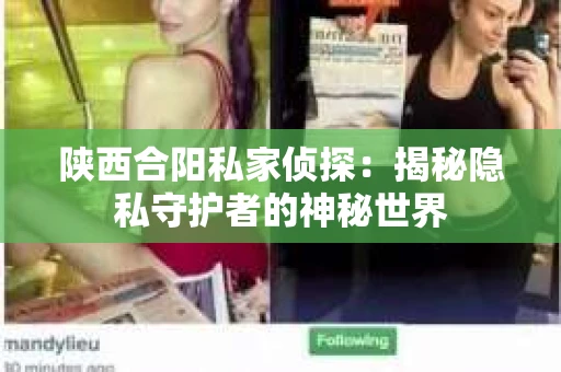陕西合阳私家侦探：揭秘隐私守护者的神秘世界