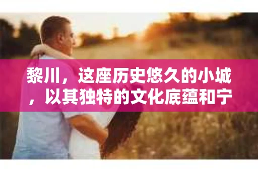 黎川，这座历史悠久的小城，以其独特的文化底蕴和宁静的生活节奏吸引着无数游客。然而，在这样一个看似平静的城市里，你是否会好奇，有没有私家侦探机构的存在呢？今天，就让我带你一探究竟。