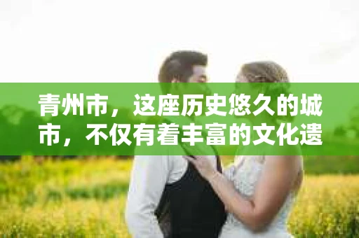青州市，这座历史悠久的城市，不仅有着丰富的文化遗产，也有着现代生活的便捷。那么，问题来了——青州市有私家侦探公司吗？这个问题，对于需要侦探服务的人来说，无疑至关重要。接下来，我就来为大家揭开这个谜底。