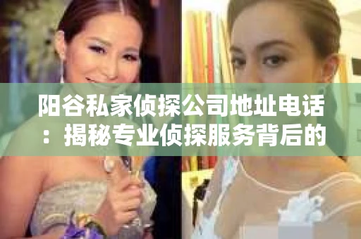 阳谷私家侦探公司地址电话：揭秘专业侦探服务背后的故事