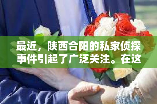 最近，陕西合阳的私家侦探事件引起了广泛关注。在这个信息爆炸的时代，隐私保护显得尤为重要。今天，我们就来聊聊这个事件，看看它背后的一些故事。