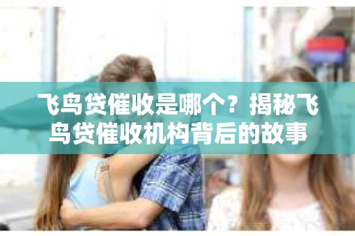 飞鸟贷催收是哪个？揭秘飞鸟贷催收机构背后的故事
