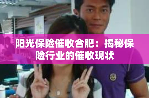 阳光保险催收合肥：揭秘保险行业的催收现状
