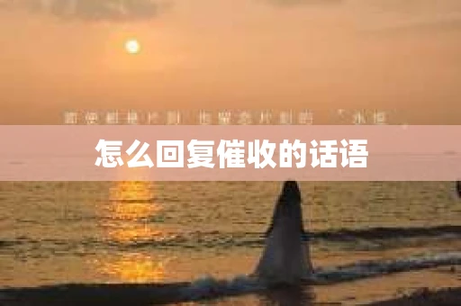 怎么回复催收的话语
