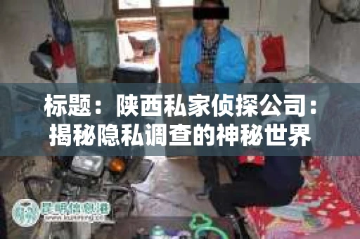 标题：陕西私家侦探公司：揭秘隐私调查的神秘世界