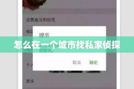 怎么在一个城市找私家侦探