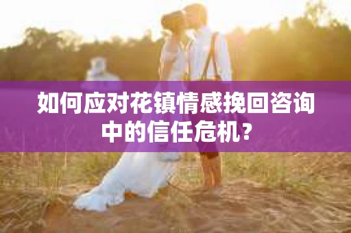 如何应对花镇情感挽回咨询中的信任危机？
