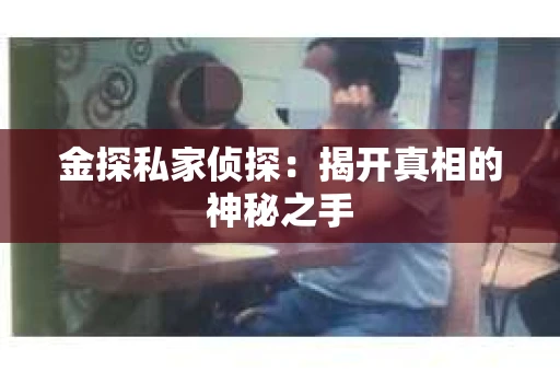 金探私家侦探：揭开真相的神秘之手