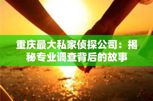 重庆最大私家侦探公司：揭秘专业调查背后的故事