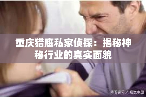 重庆猎鹰私家侦探：揭秘神秘行业的真实面貌