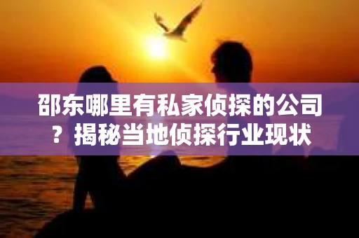 邵东哪里有私家侦探的公司？揭秘当地侦探行业现状