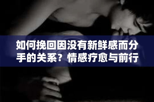 如何挽回因没有新鲜感而分手的关系?情感疗愈与前行计划 如何挽回因没有新鲜感而分手的关系?情感疗愈与前行计划