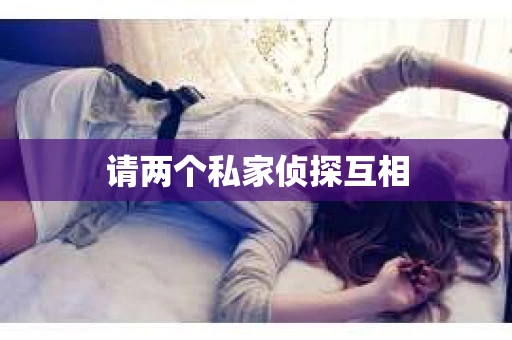 请两个私家侦探互相