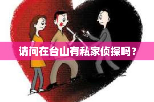请问在台山有私家侦探吗？
