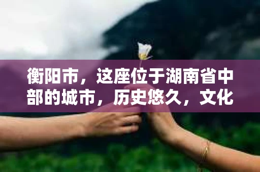 衡阳市，这座位于湖南省中部的城市，历史悠久，文化底蕴深厚。随着社会的发展，人们对于个人隐私的保护意识逐渐增强，私家侦探机构也应运而生。那么，衡阳市是否有私家侦探机构呢？今天，我们就来聊聊这个话题。
