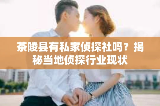 茶陵县有私家侦探社吗？揭秘当地侦探行业现状