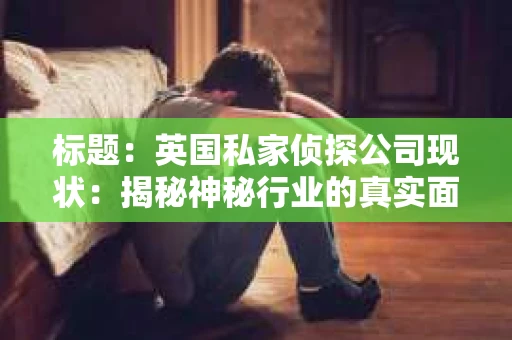 标题：英国私家侦探公司现状：揭秘神秘行业的真实面貌