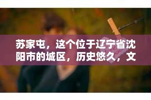 苏家屯，这个位于辽宁省沈阳市的城区，历史悠久，文化底蕴深厚。近年来，随着社会的发展，人们对于私家侦探的需求也逐渐增加。那么，苏家屯有私家侦探吗？今天，我们就来聊聊这个话题。