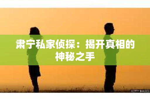 肃宁私家侦探：揭开真相的神秘之手