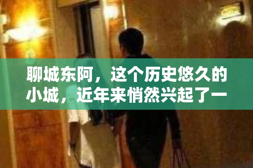 聊城东阿，这个历史悠久的小城，近年来悄然兴起了一股新的服务潮流——私家侦探。今天，我们就来聊聊这个话题，看看在聊城东阿，私家侦探是如何成为人们生活中的一部分的。