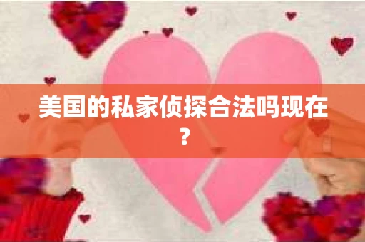 美国的私家侦探合法吗现在？