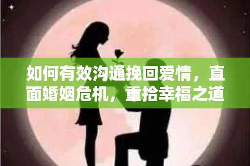 如何有效沟通挽回爱情，直面婚姻危机，重拾幸福之道