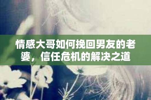 情感大哥如何挽回男友的老婆，信任危机的解决之道
