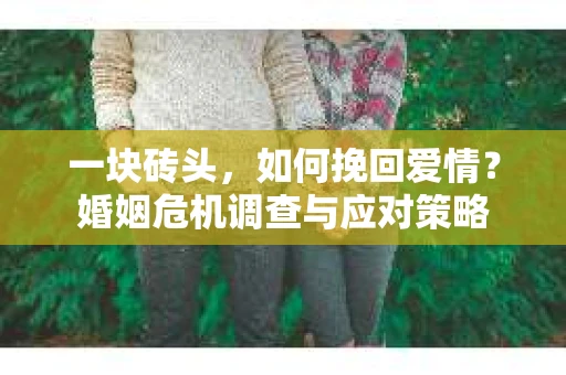 一块砖头，如何挽回爱情？婚姻危机调查与应对策略