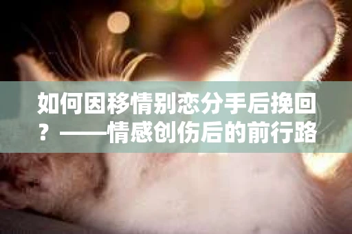 如何因移情别恋分手后挽回？——情感创伤后的前行路线图