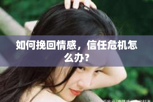 如何挽回情感,信任危机怎么办? 如何挽回情感,信任危机怎么办?